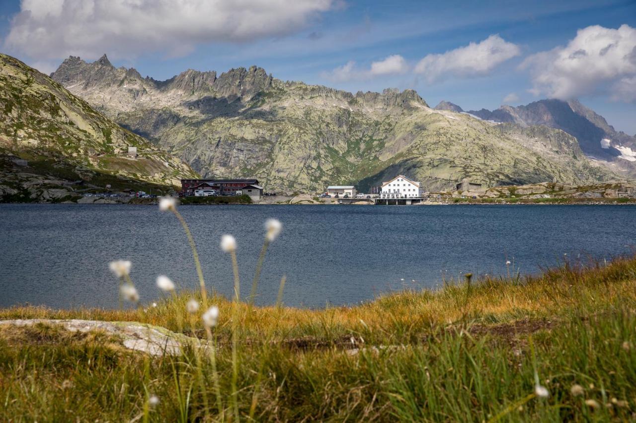 Grimsel Passhoehe 3* Oberwald