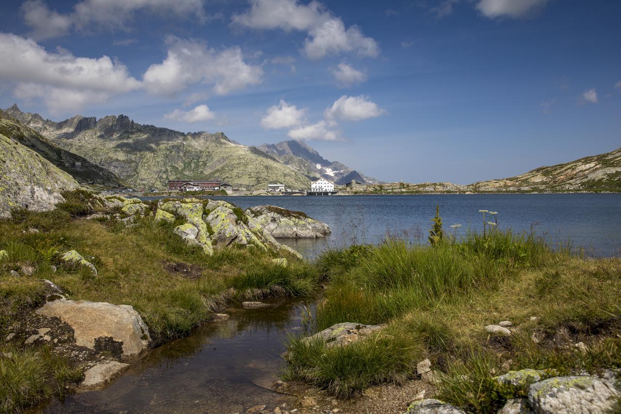 Grimsel Passhoehe Oberwald