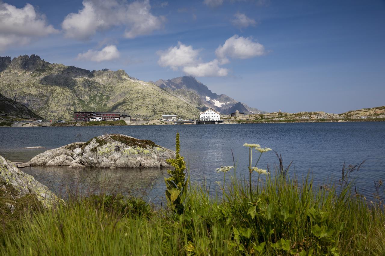 Grimsel Passhoehe Oberwald